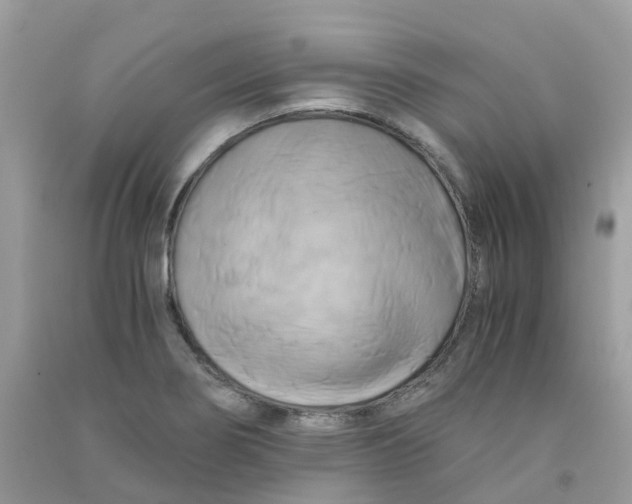 X0000091541274200709141449