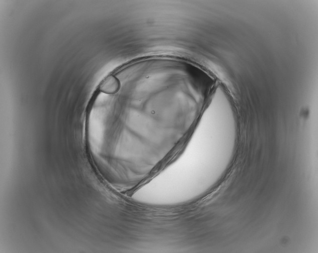 X0000091541275200709141449