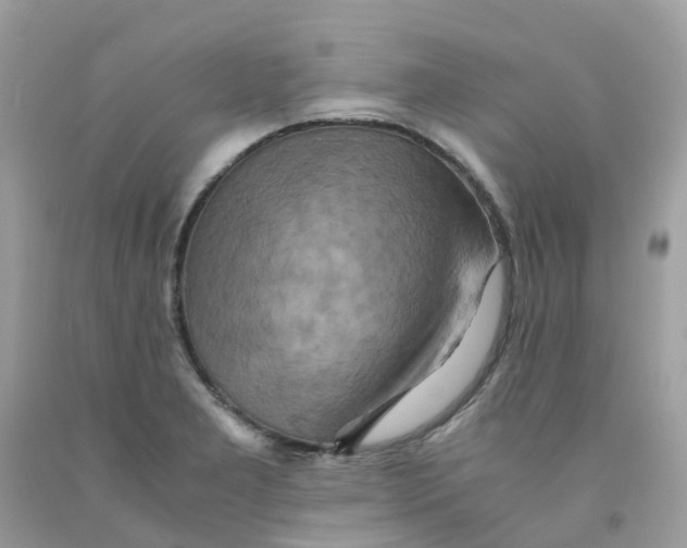 X0000091541277200709141449