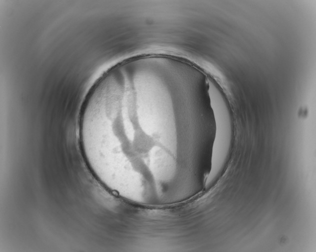 X0000091541280200709141448