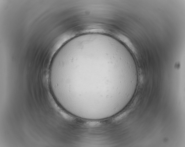 X0000091541282200709141448