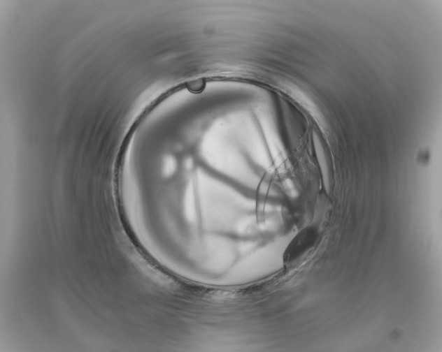 X0000091541283200709141448