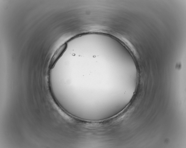 X0000091541285200709141448