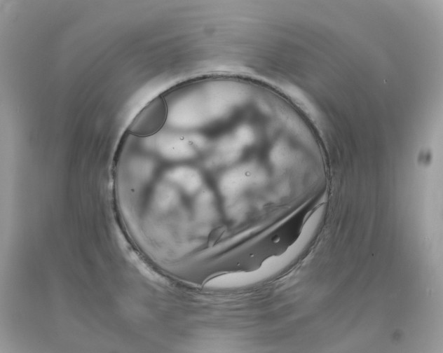 X0000091541287200709141448