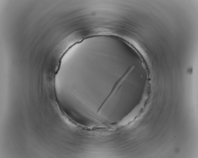 X0000091541289200709141448