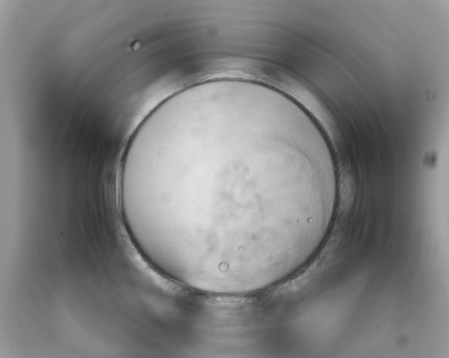 X0000091541290200709141448