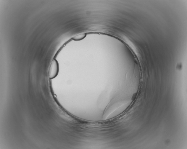 X0000091541291200709141448