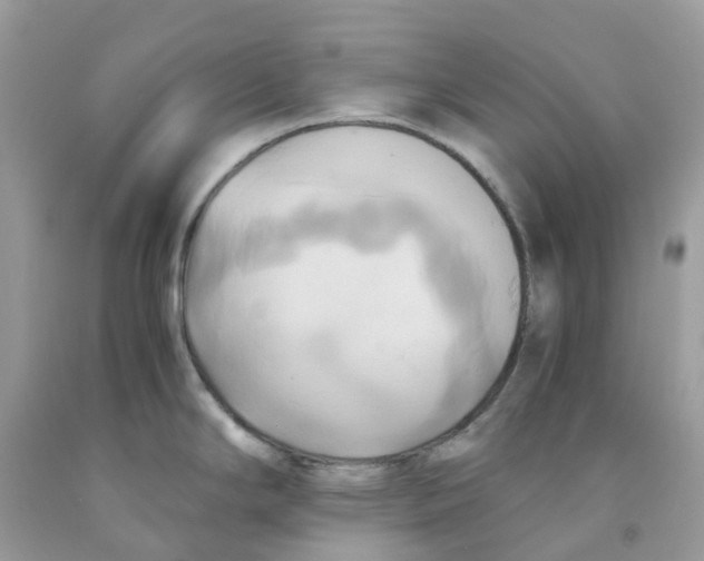 X0000091541294200709141448