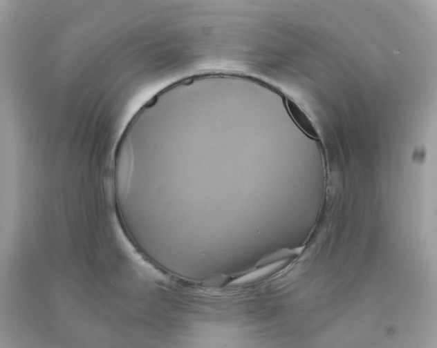 X0000091541295200709141448