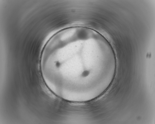 X0000091541296200709141448