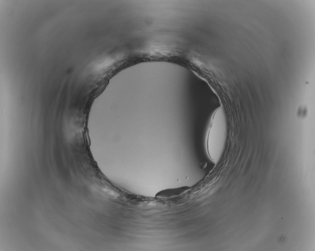 X0000091541300200709141448