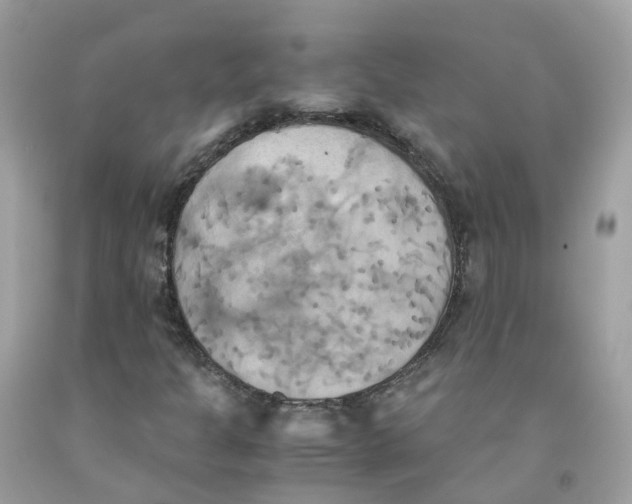 X0000091541301200709141448