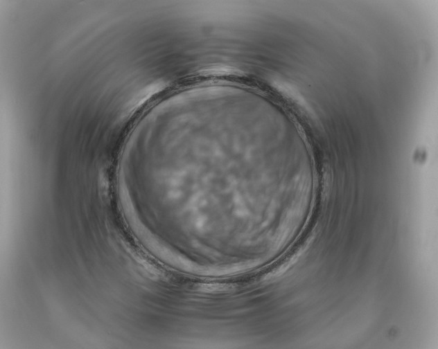 X0000091541305200709141448