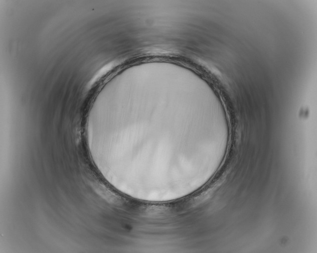 X0000091541306200709141448