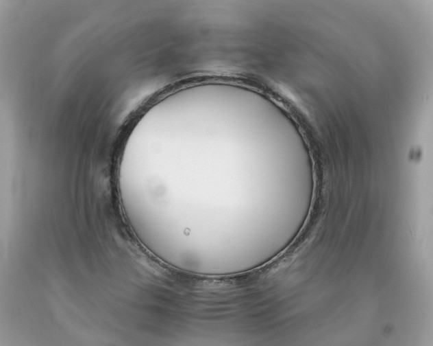 X0000091541307200709141448