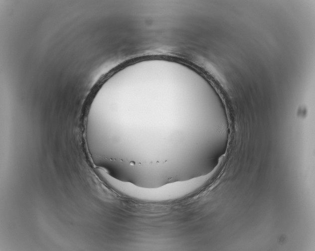 X0000091541308200709141448