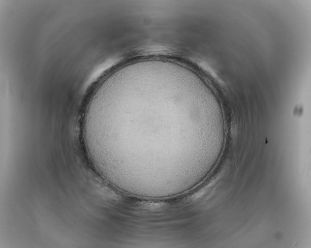 X0000091541309200709141448