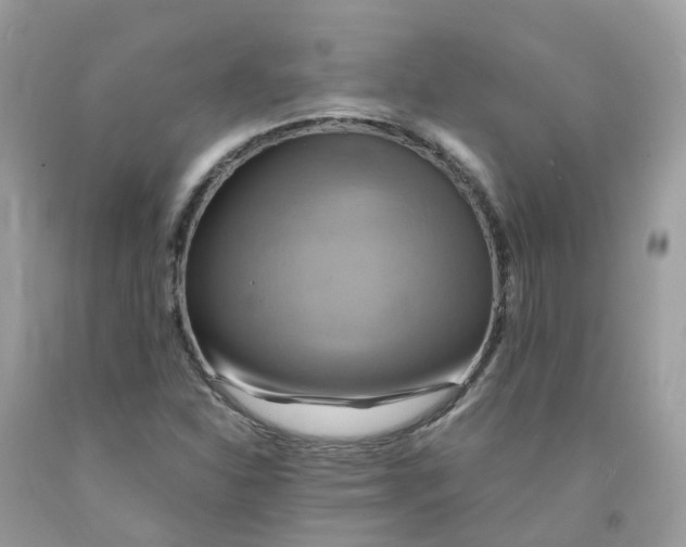 X0000091541310200709141448