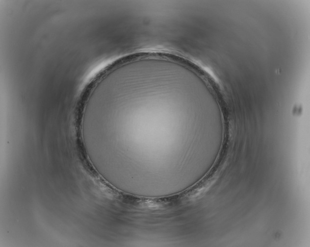 X0000091541311200709141448