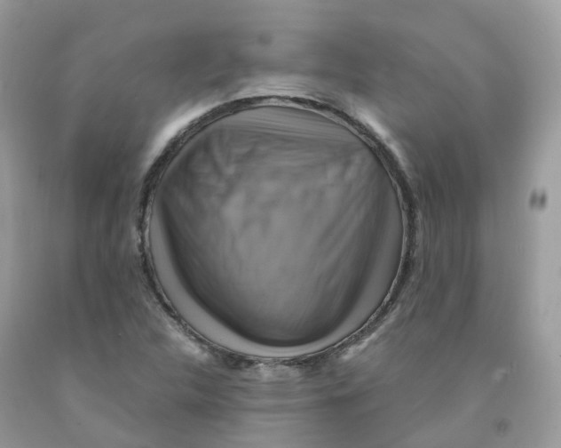 X0000091541312200709141448