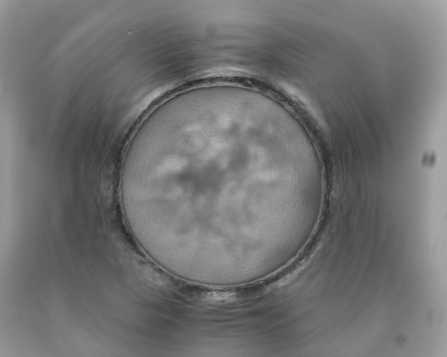 X0000091541313200709141448