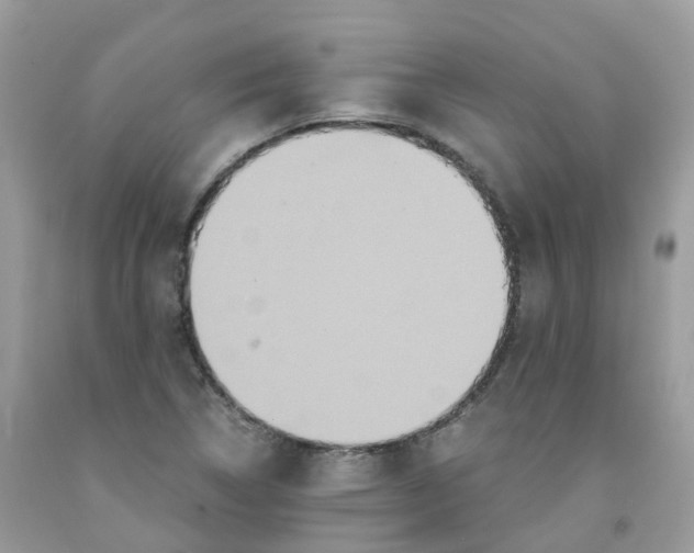 X0000091541314200709141448