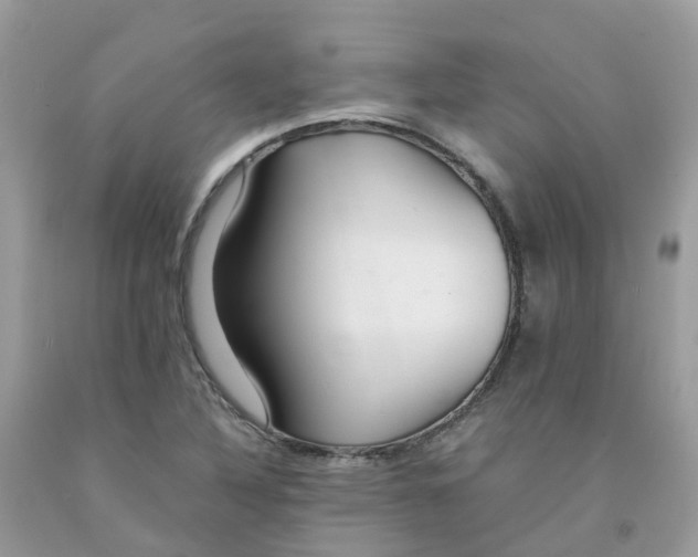 X0000091541316200709141448