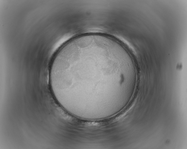 X0000091541317200709141448