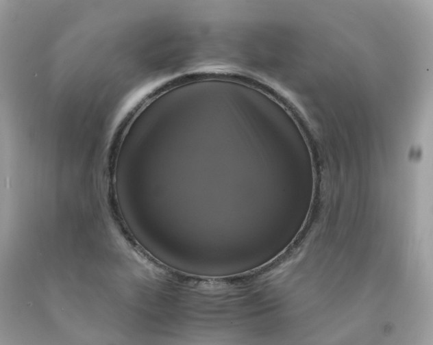 X0000091541319200709141448