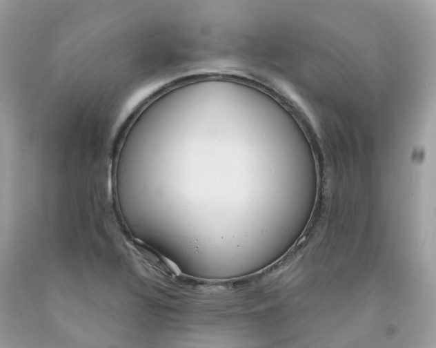 X0000091541320200709141448