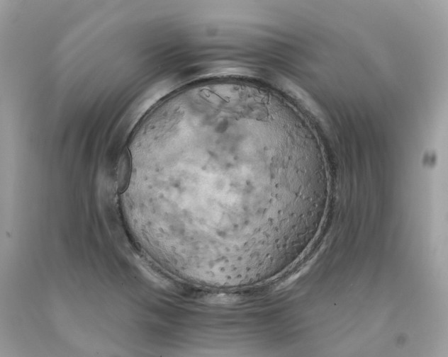 X0000091541321200709141448