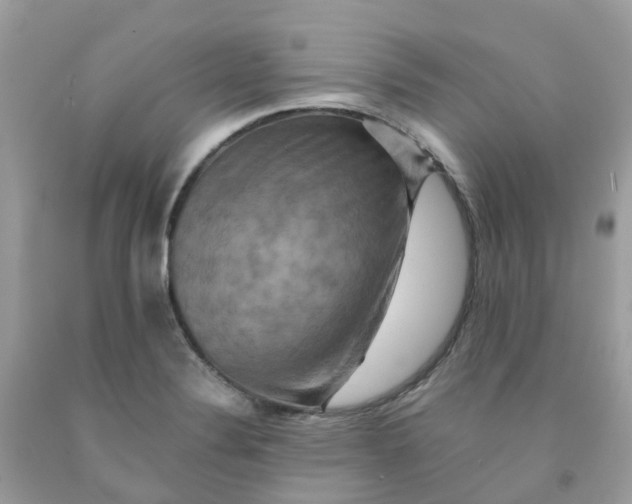 X0000091541324200709141448