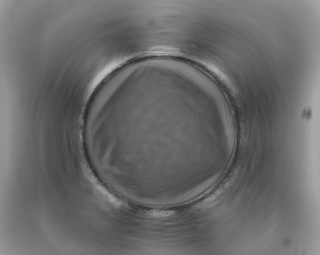 X0000091541325200709141448