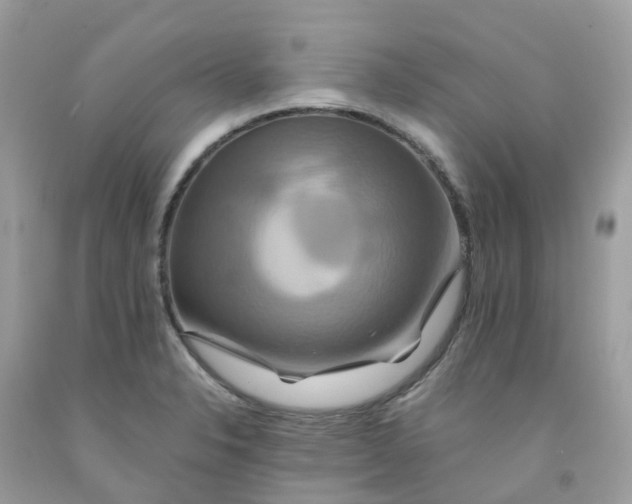 X0000091541326200709141448