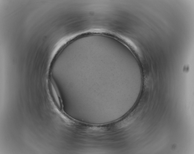 X0000091541327200709141448