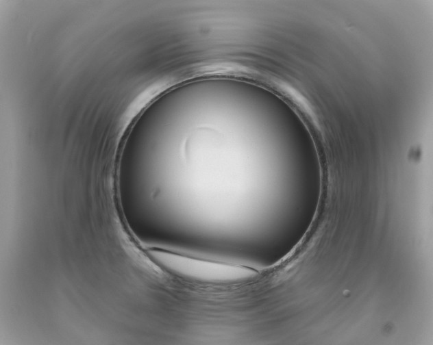 X0000091541330200709141448