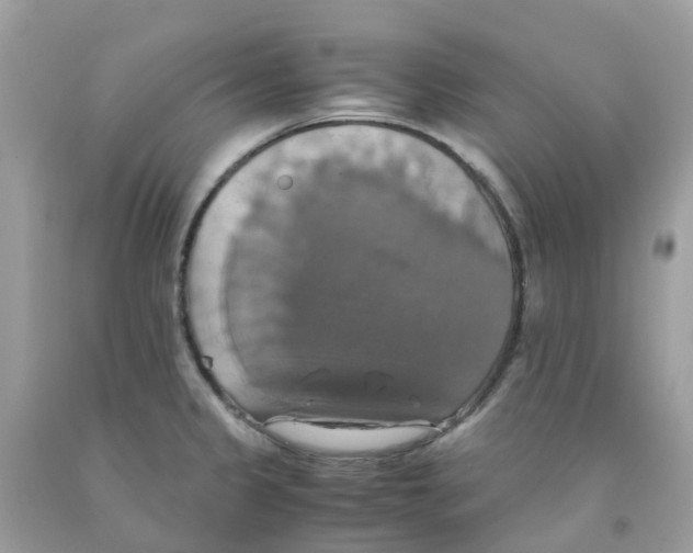 X0000091541333200709141448