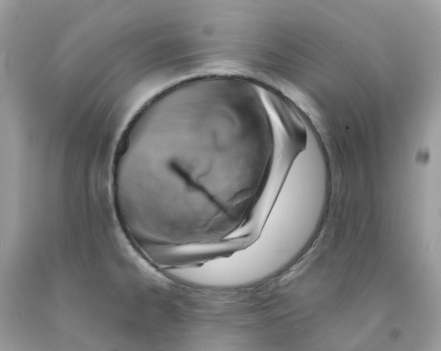 X0000091541334200709141448