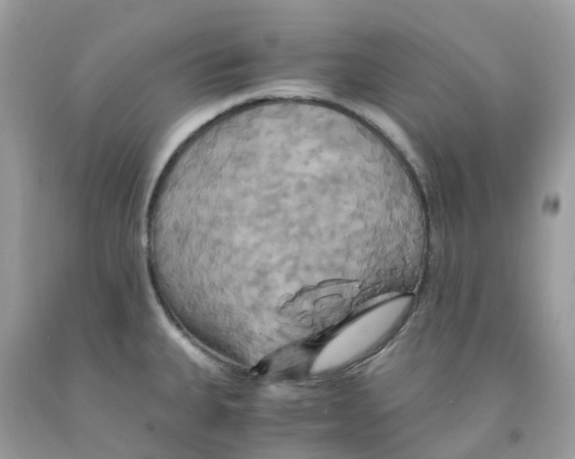 X0000091541335200709141448