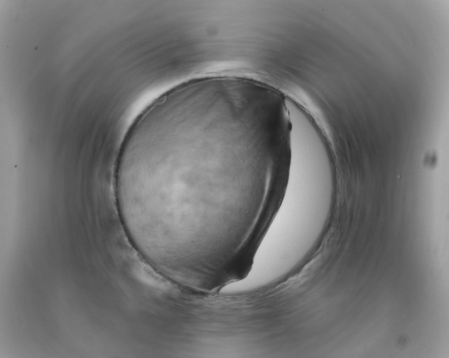 X0000091541336200709141448