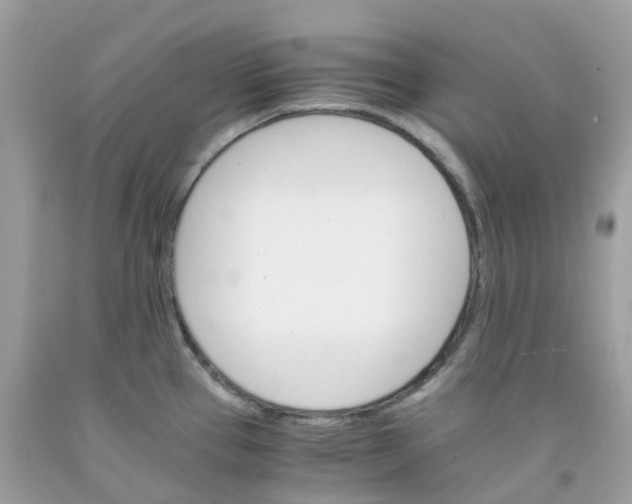 X0000091541337200709141448