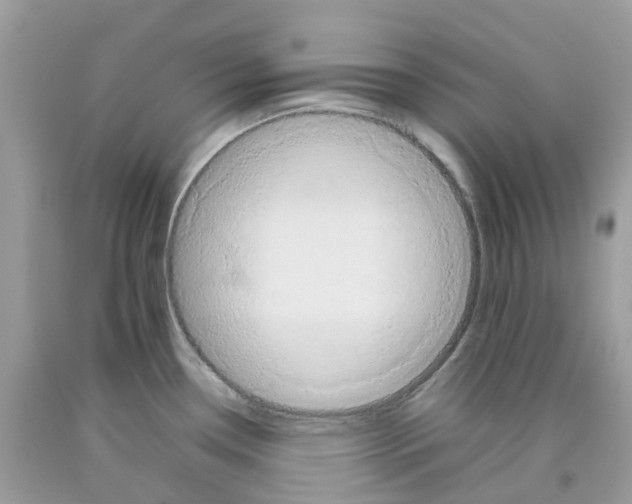 X0000091541338200709141448