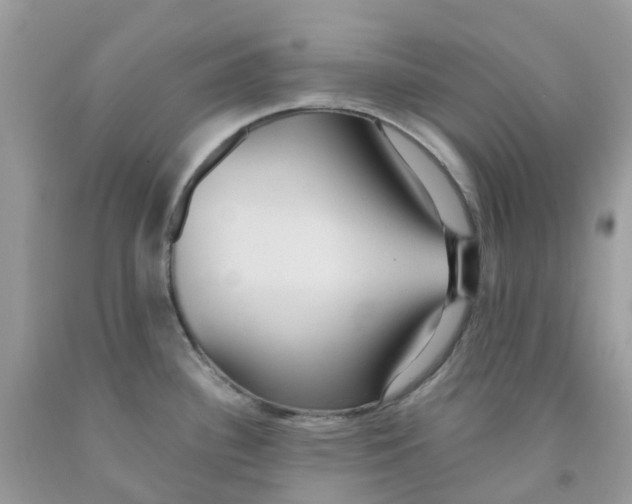 X0000091541340200709141448