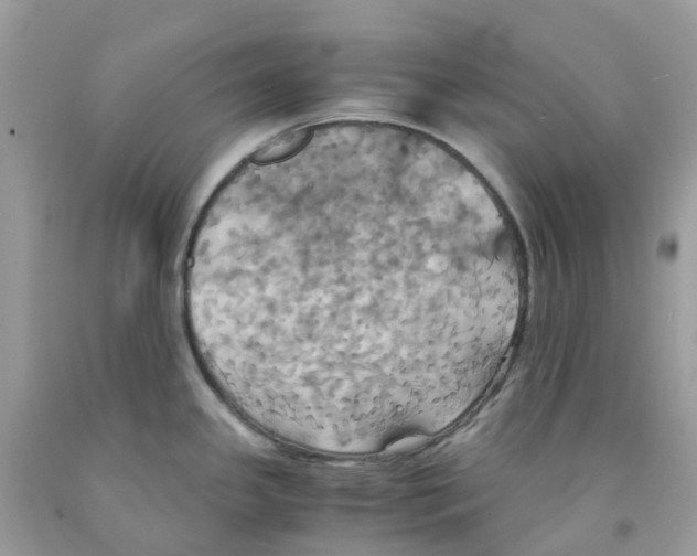 X0000091541341200709141448