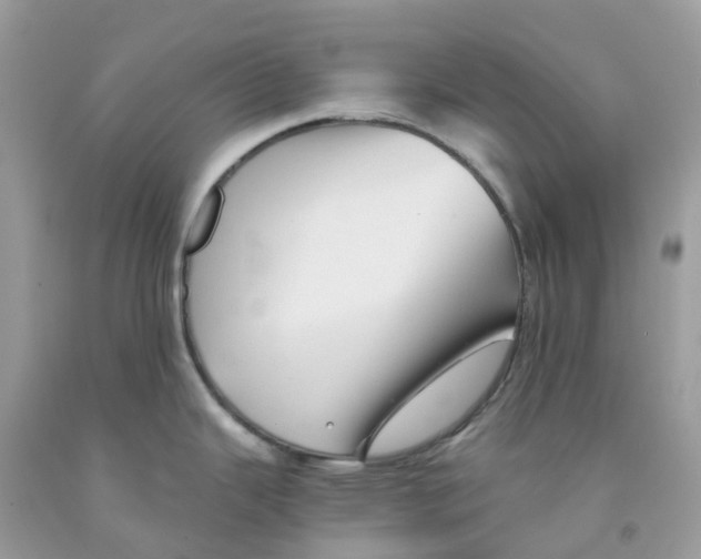 X0000091541343200709141448