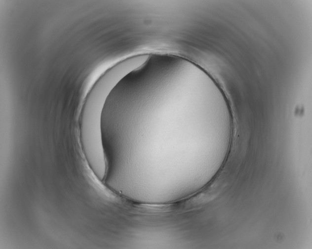 X0000091541344200709141448