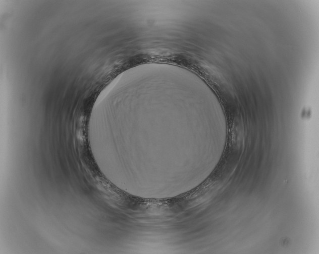 X0000091541346200709141447