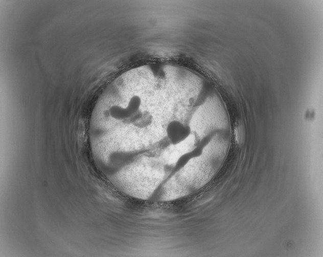 X0000091541347200709141447