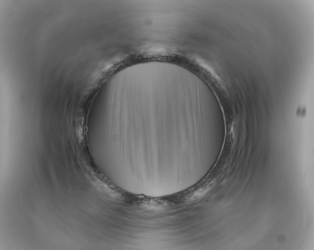 X0000091541348200709141447