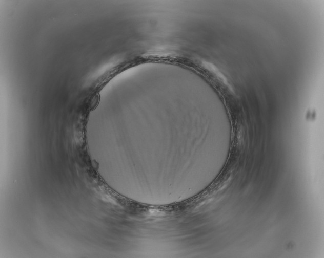 X0000091541350200709141447